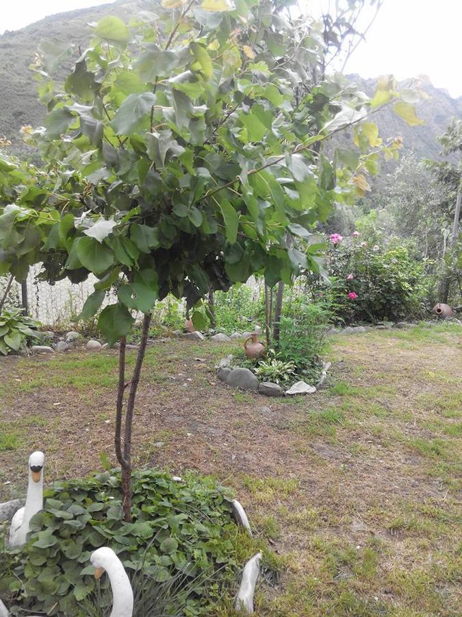 Mtsʼkhetʼa Villa Piano מראה חיצוני תמונה
